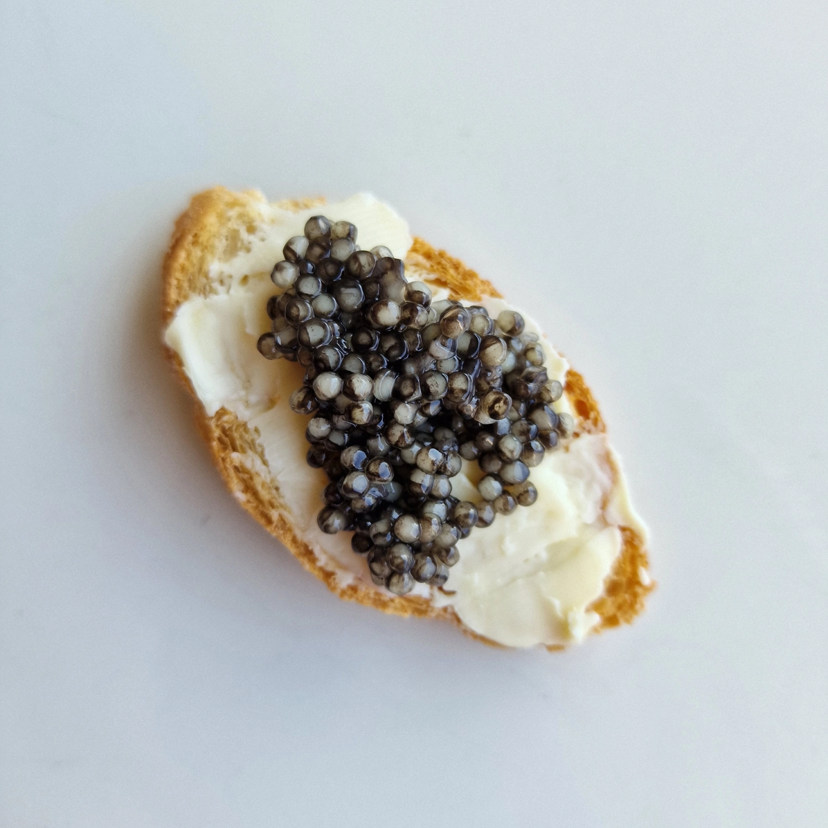 bester caviar